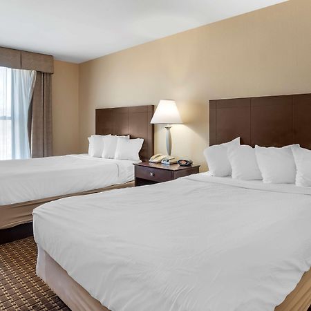 Best Western Plus Philadelphia Airport South - At Widener University Chester Eksteriør billede