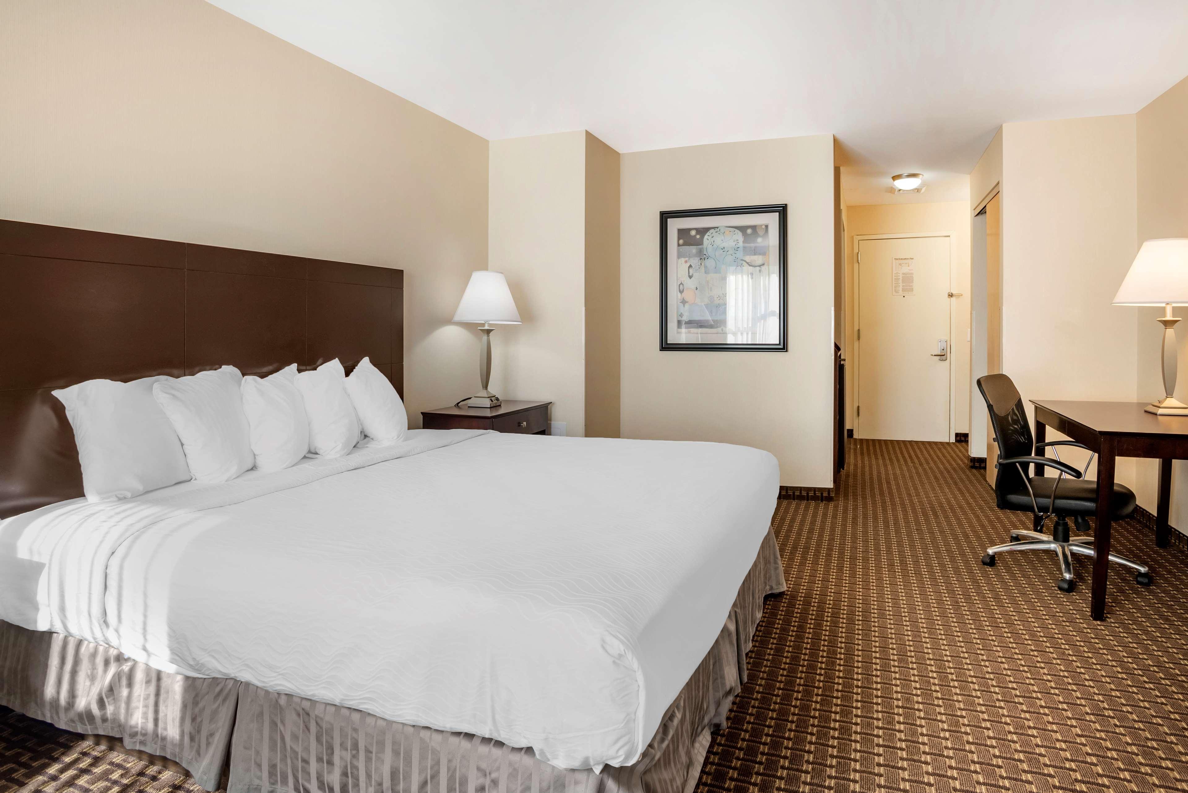 Best Western Plus Philadelphia Airport South - At Widener University Chester Eksteriør billede