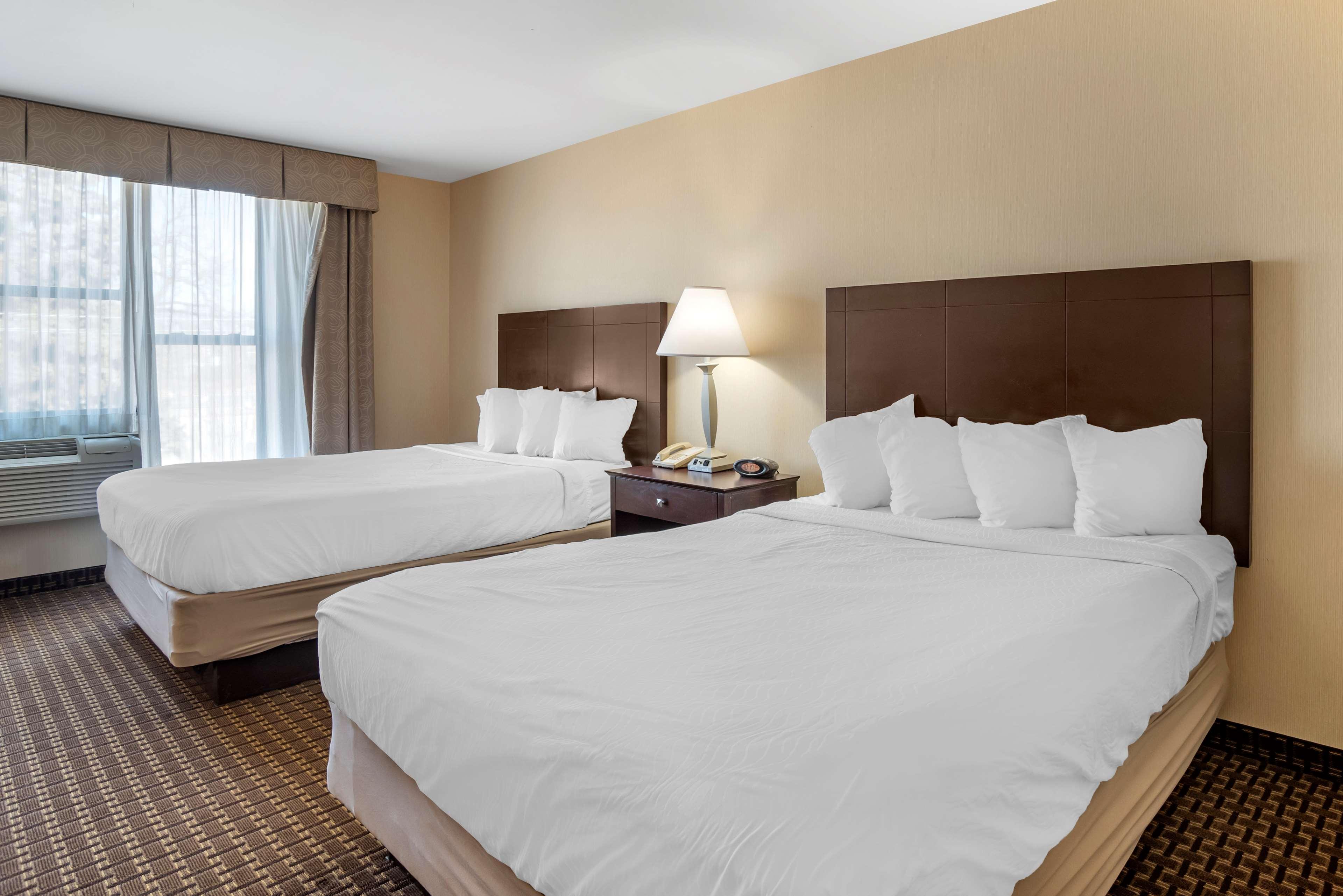 Best Western Plus Philadelphia Airport South - At Widener University Chester Eksteriør billede